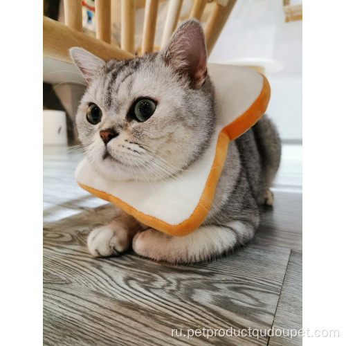 Тост хлебный капюшон котенок Элизабет Ошейник